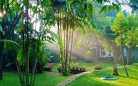 Mango House Japanese Guest House