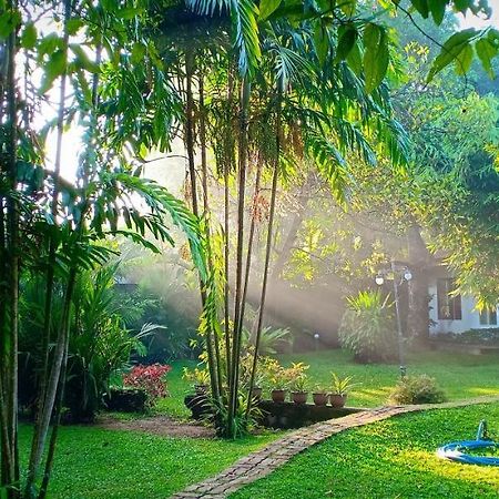 Mango House Japanese Guest House Negombo Exterior photo