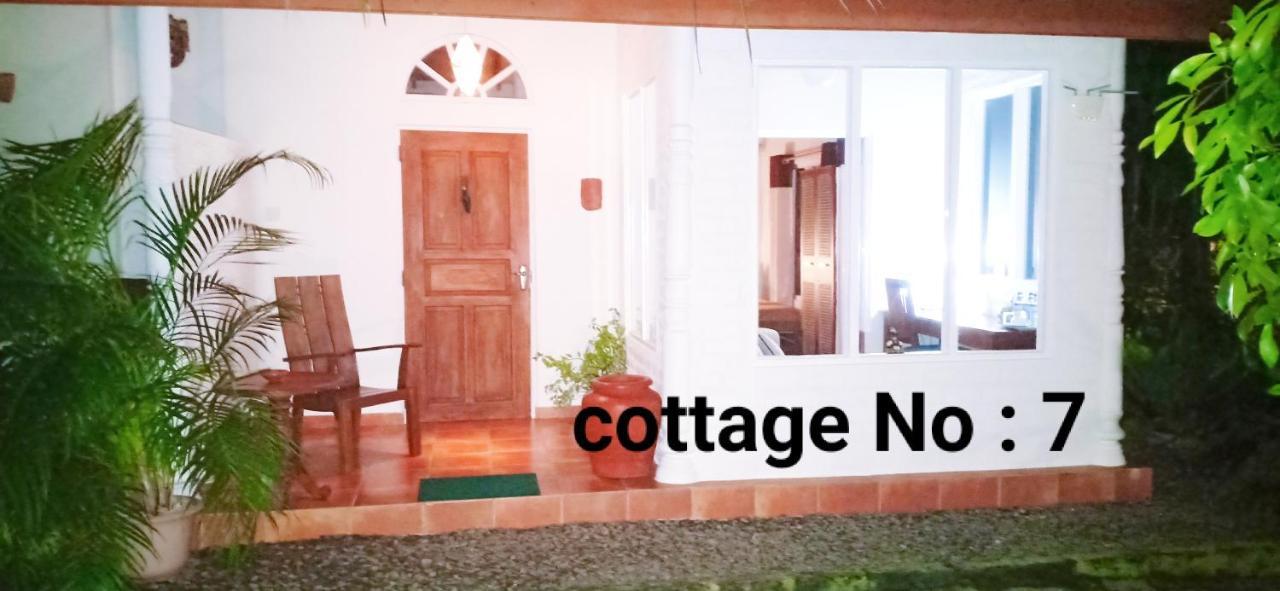 Mango House Japanese Guest House Negombo Room photo