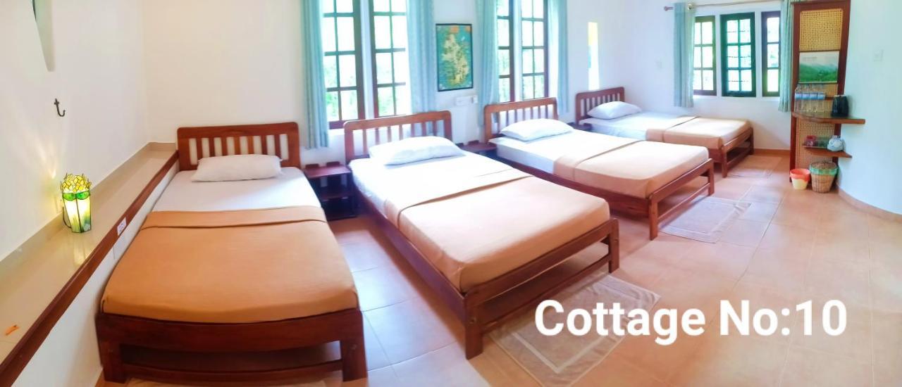Mango House Japanese Guest House Negombo Exterior photo
