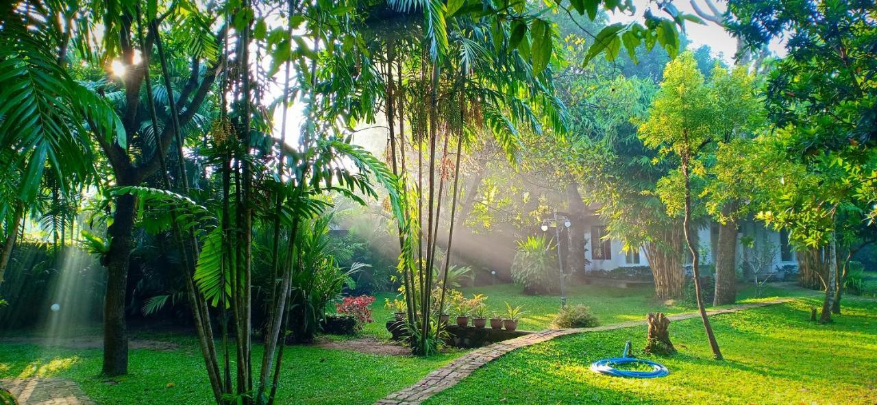 Mango House Japanese Guest House Negombo Exterior photo