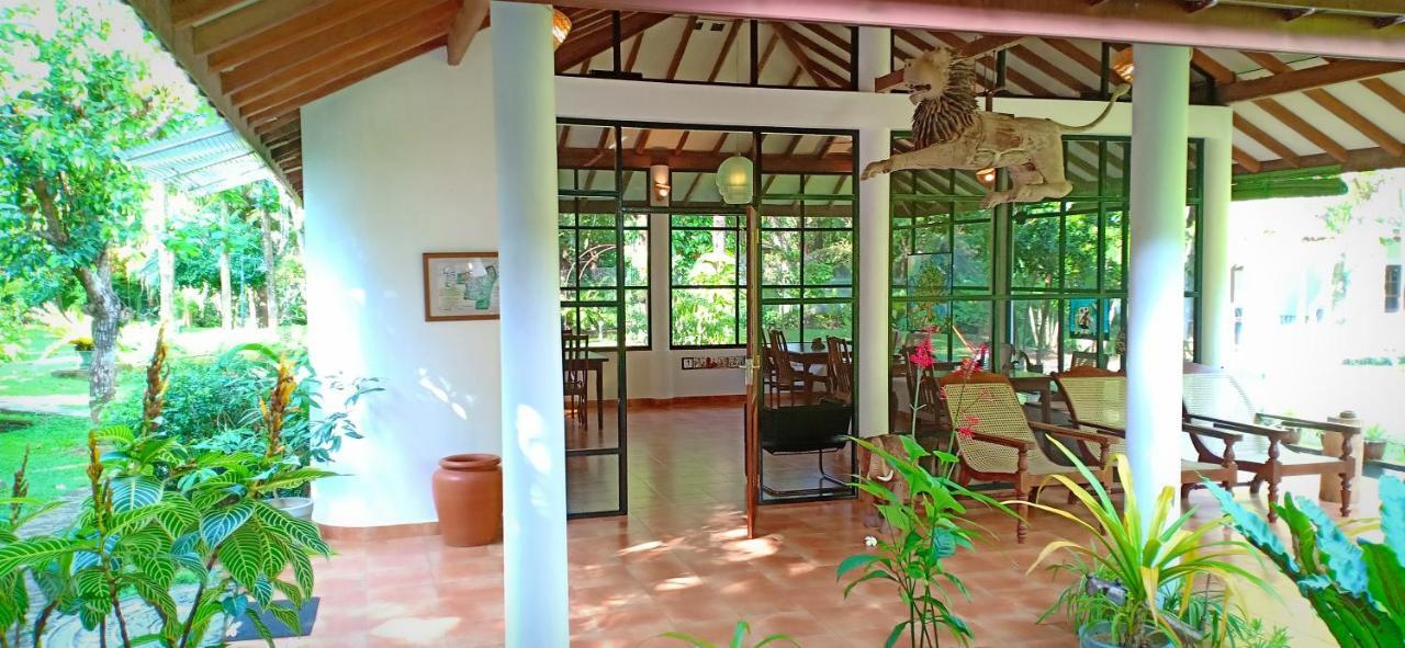 Mango House Japanese Guest House Negombo Exterior photo