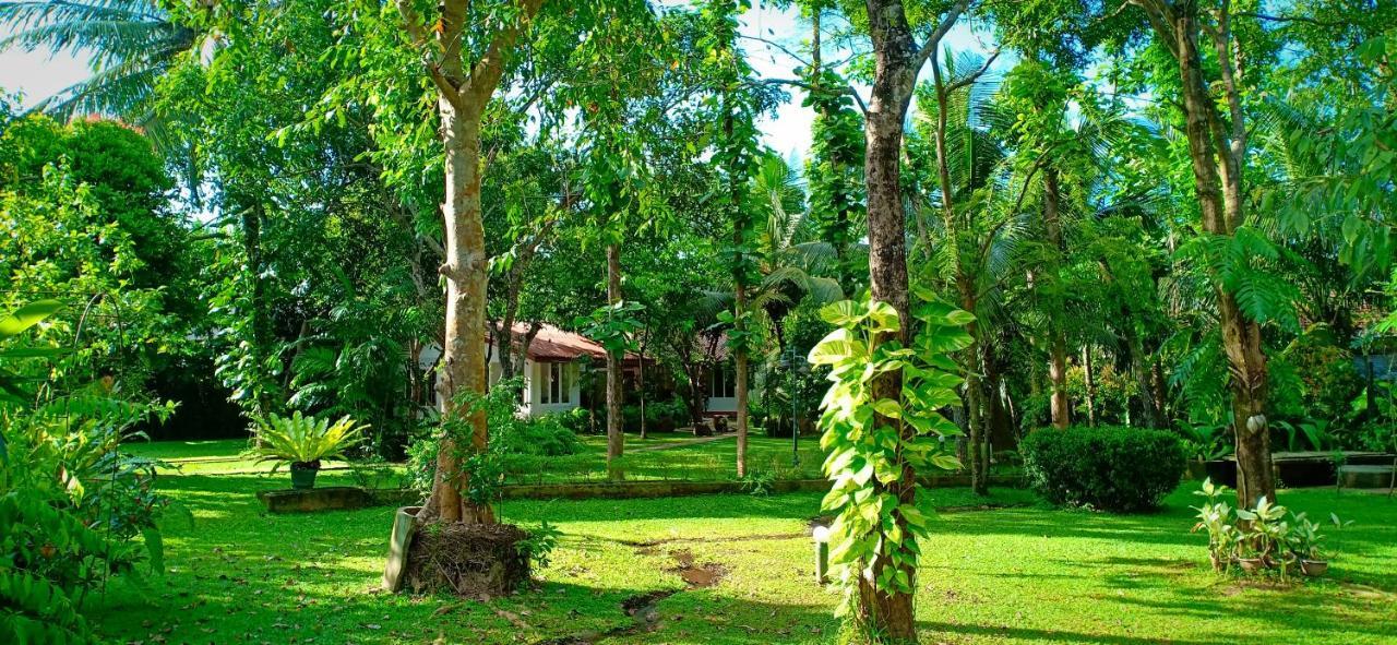 Mango House Japanese Guest House Negombo Exterior photo